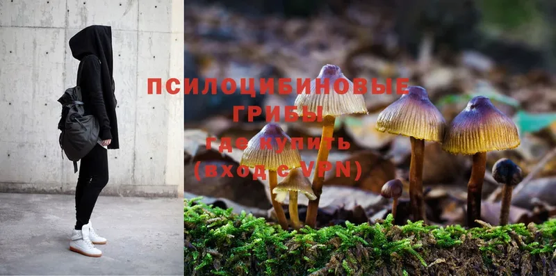 Галлюциногенные грибы Magic Shrooms Арск